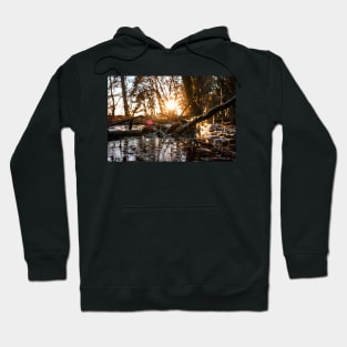 Sun over forest pond Hoodie